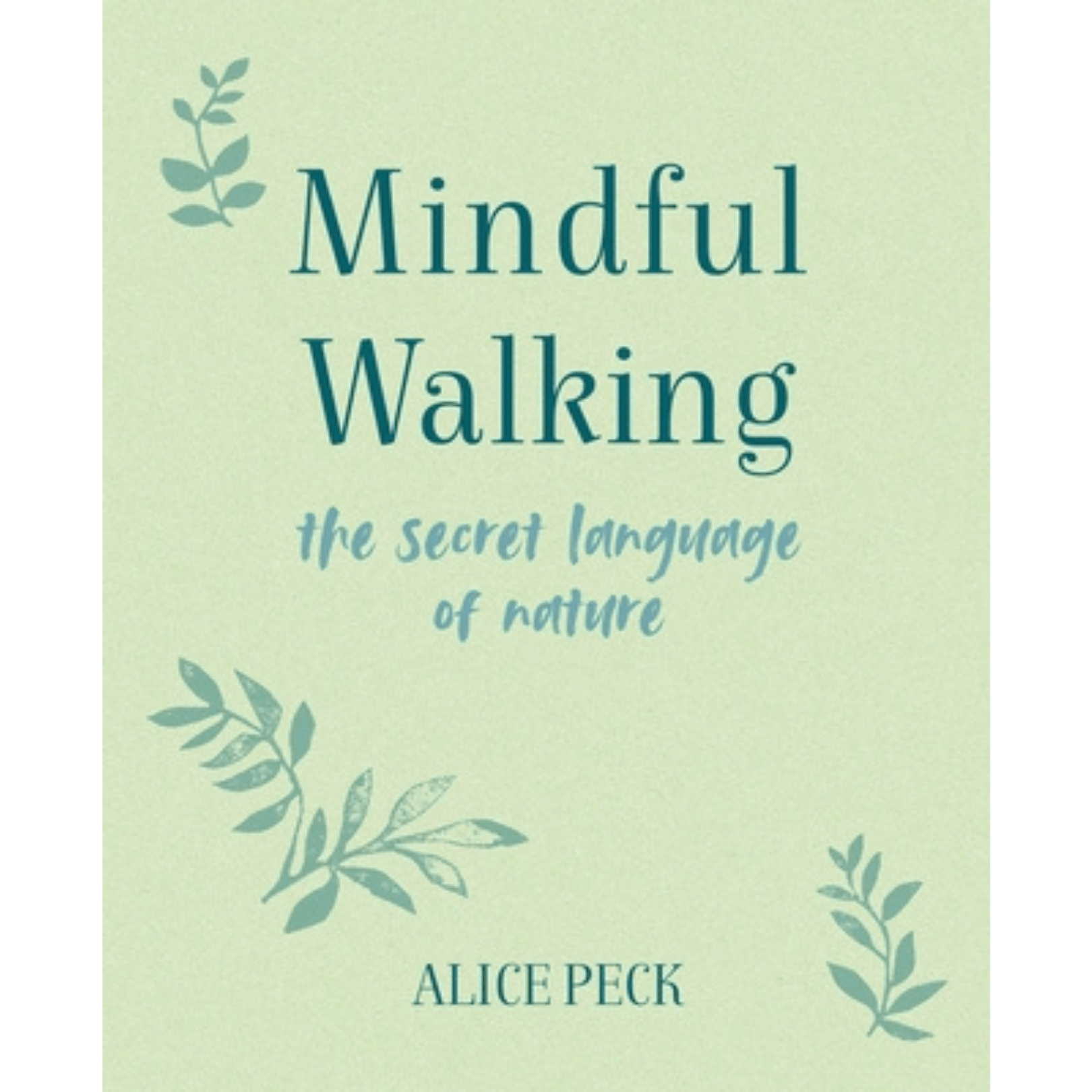 Mindful Walking: The Secret Language of Nature